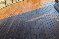 596489366_122166828836764304_7459909851061204003_n