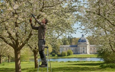 Arbres fruitiers : le printemps 2024 à vittel, une saison décisive
